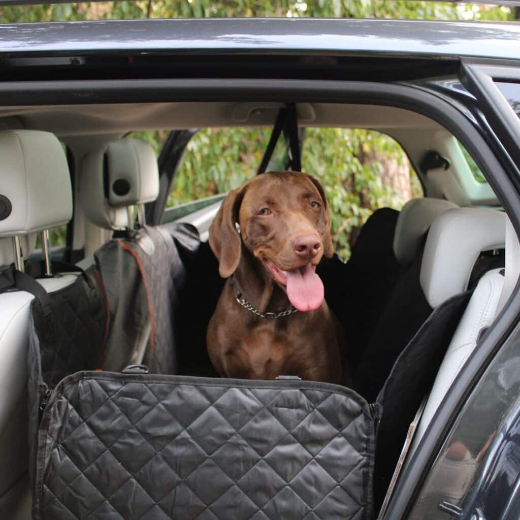 Hondendeken Auto Achterbank Zwart Oranje Vierkant