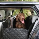 Hondendeken Auto Achterbank Zwart Oranje Vierkant