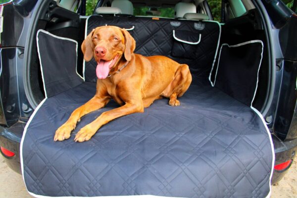 Hondendeken auto kofferbak