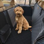 Hundedecke Auto Rücksitz Schwarz Wasserdicht Rücksitz Schutz Hund