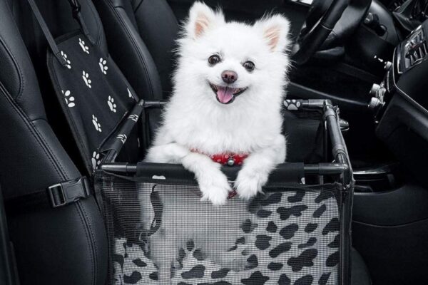 Luxe autostoel hond