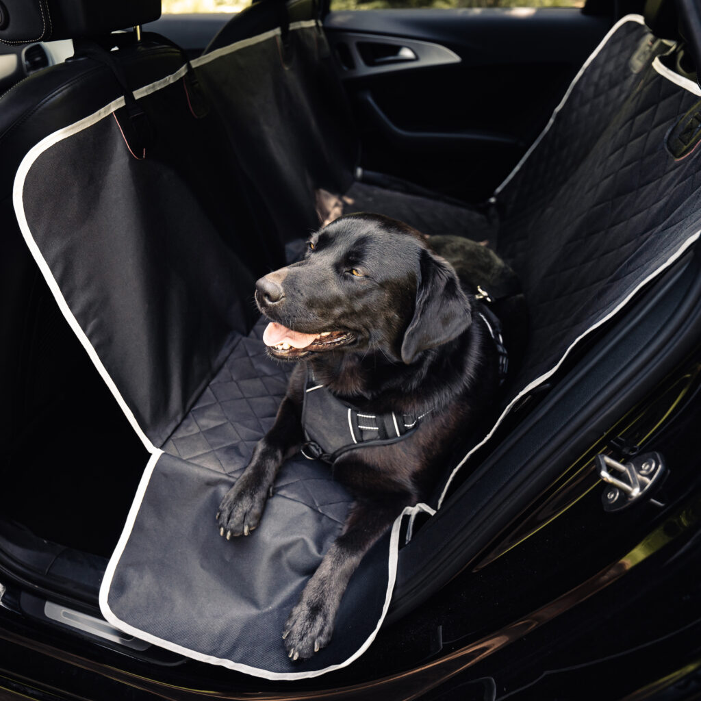 Hundedecke Auto Rücksitz schwarz und weiß basic