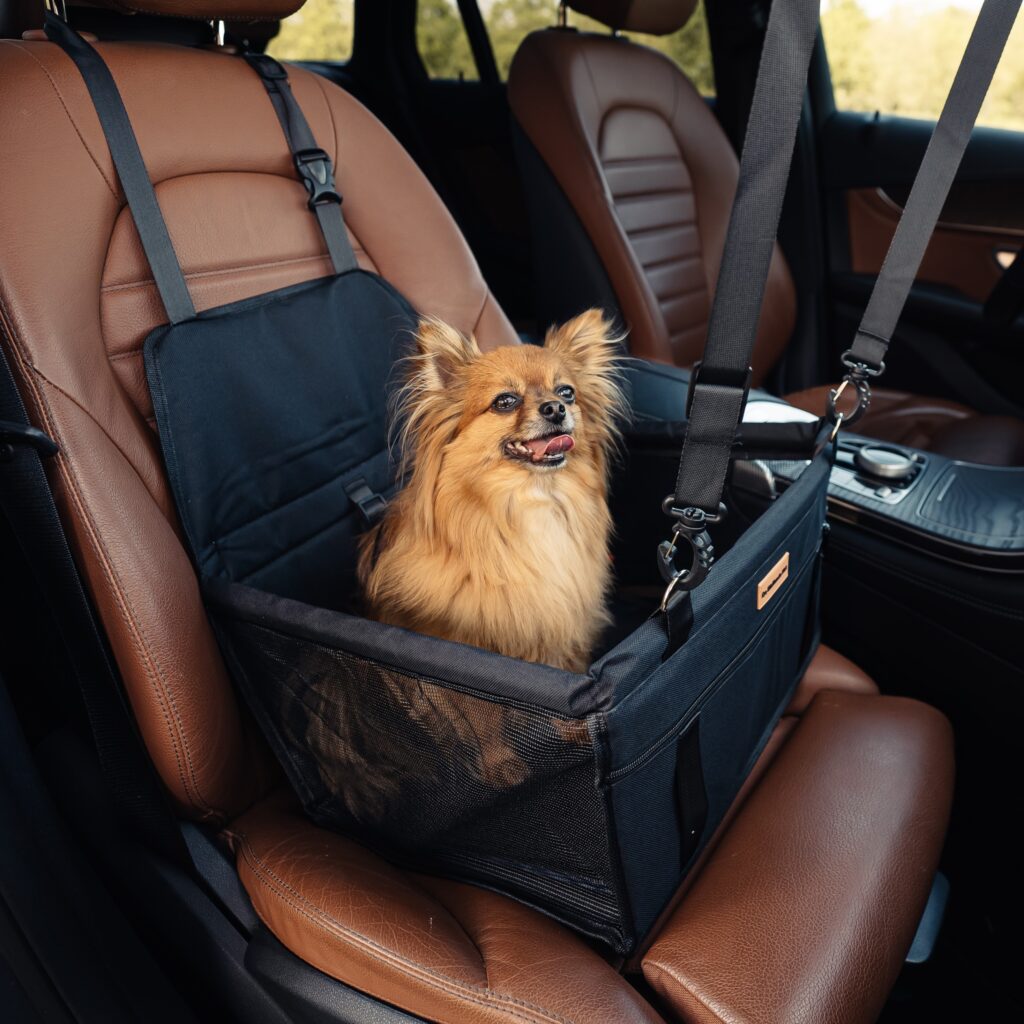 Autostoel Zwart Opvouwbaar Hoofdafbeelding Test