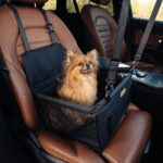 Autostoel Zwart Opvouwbaar Hoofdafbeelding Test