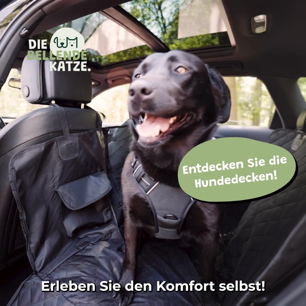 Hundedecke Premium Rucksitz Hunde Auto Sitzschoener Wasserdicht Thumbnail