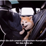 Hundedecke Rucksitz Basic Thumbnail