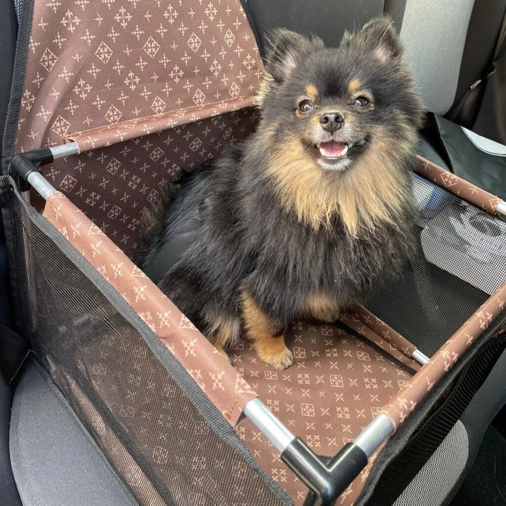 Luxe autostoel voor honden en puppie - bruin met designer print