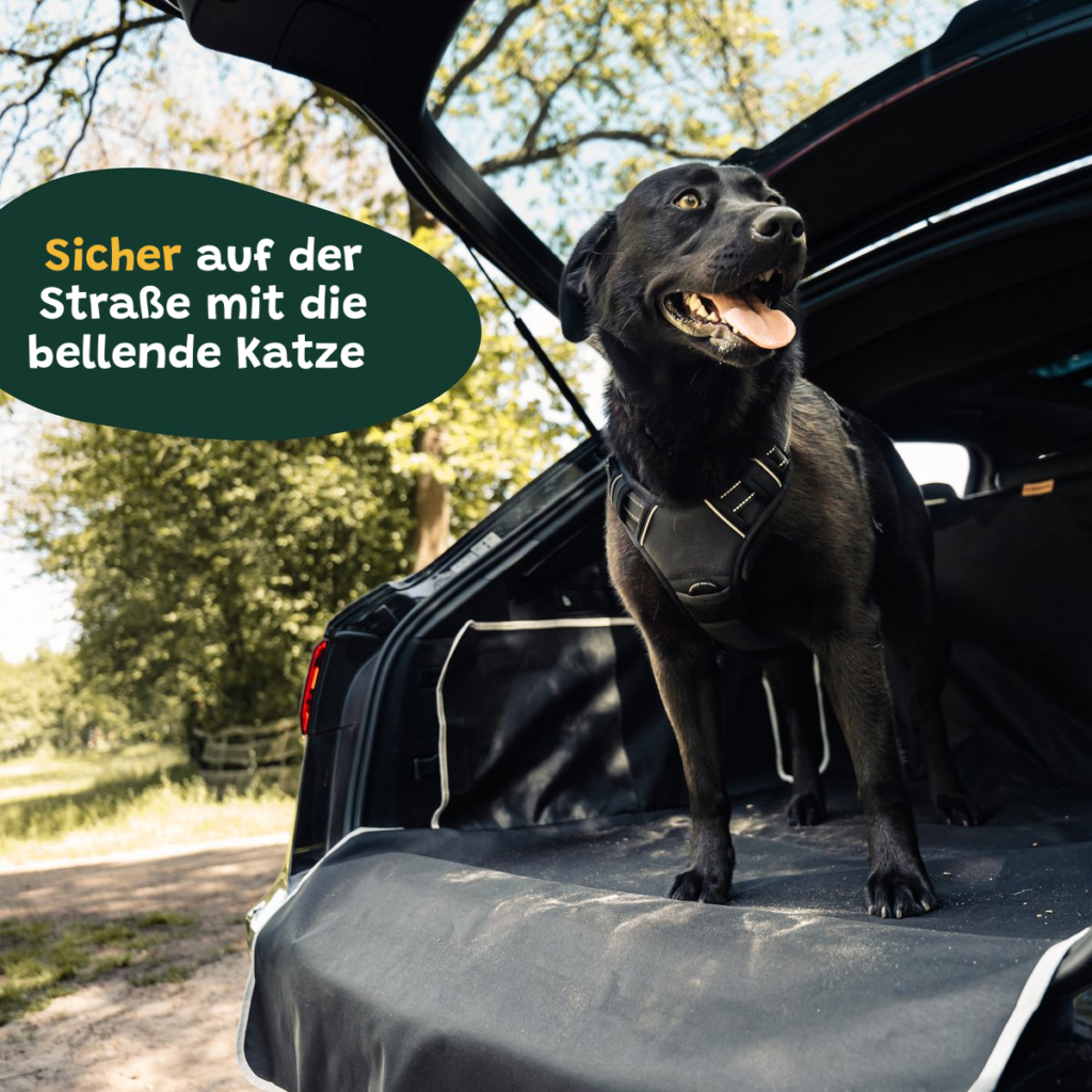 Hundedecke Auto Kofferraum Basic Sicher Auf Die Strasse
