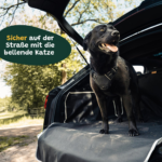 Hundedecke Auto Kofferraum Basic Sicher Auf Die Strasse