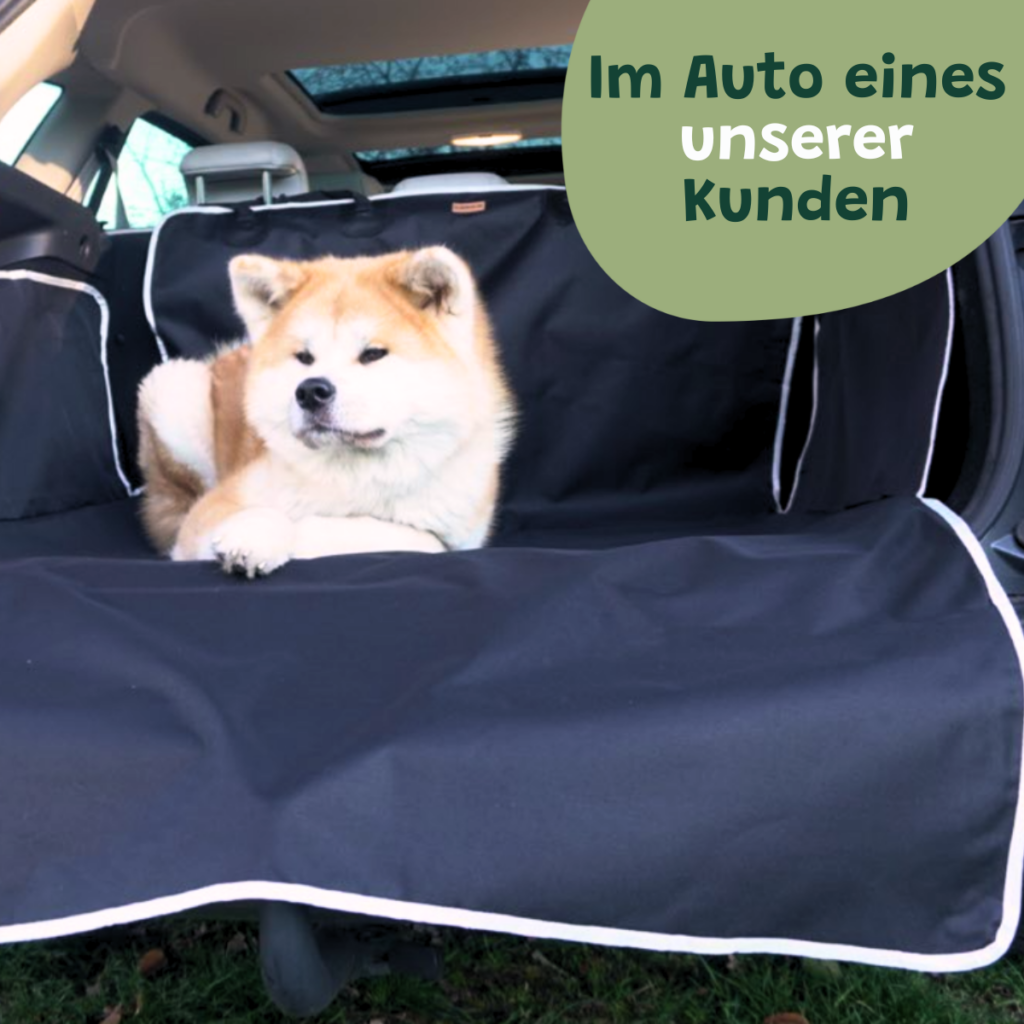 Hundedecke Auto Kofferraum Basic Kundefoto Von Einer Lieber Hund