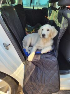 Review hondendeken auto