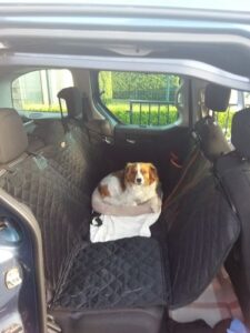 review hondendeken auto