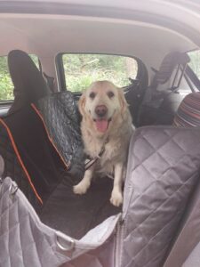 review hondendeken auto