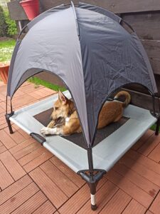 Review Hondenstretcher.jpg