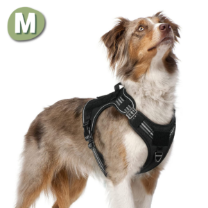 Hundegeschirr Große M