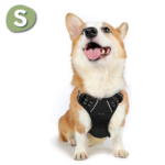Hundegeschirr - Große S