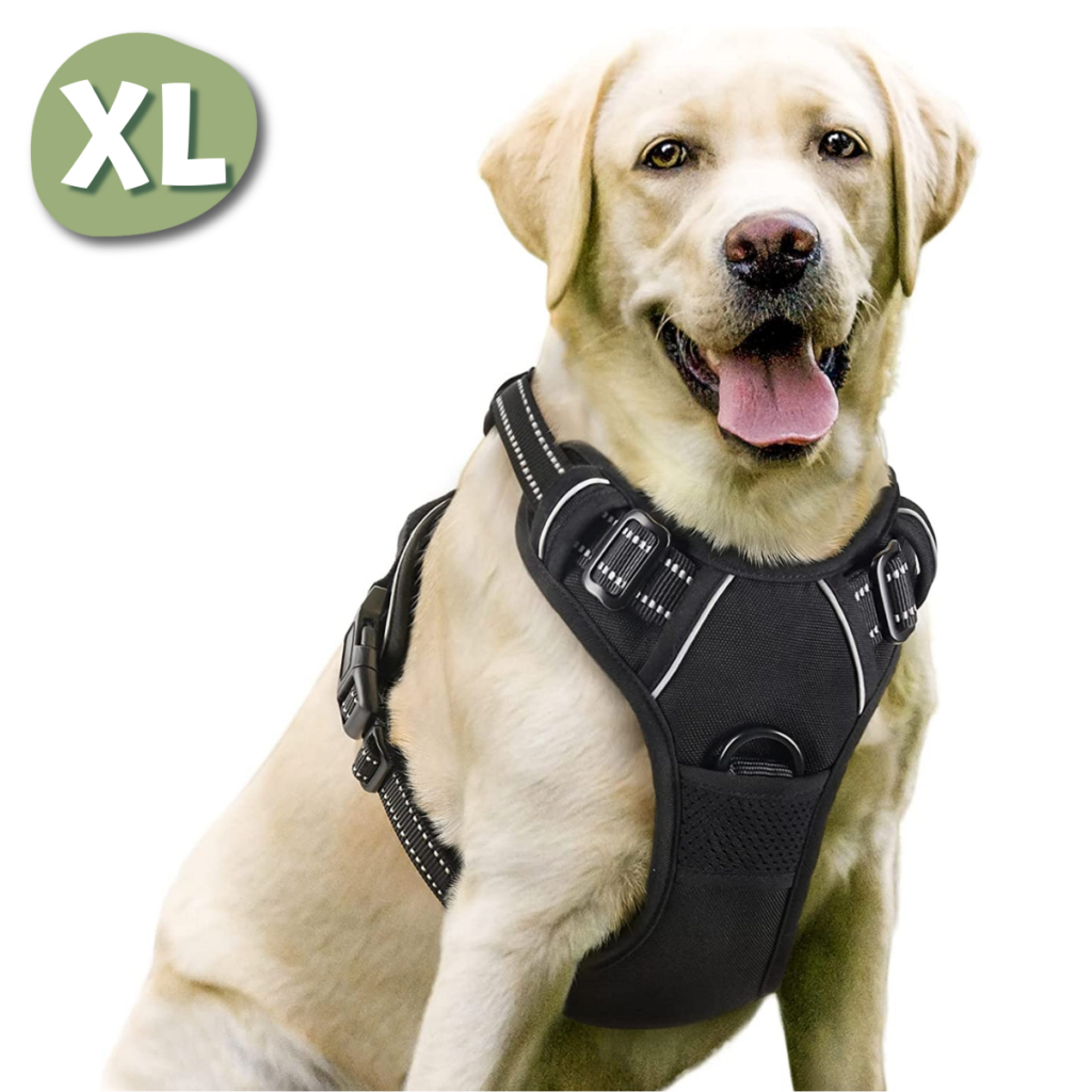 Hundegeschirr Große XL