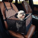Autositz Hund