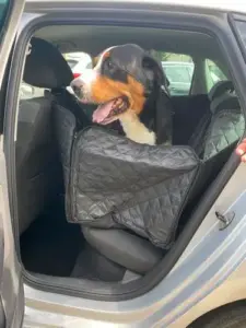 Review Zwarte Deken 1.webp