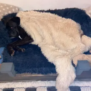 Fotos Klanten Review 1 1.webp