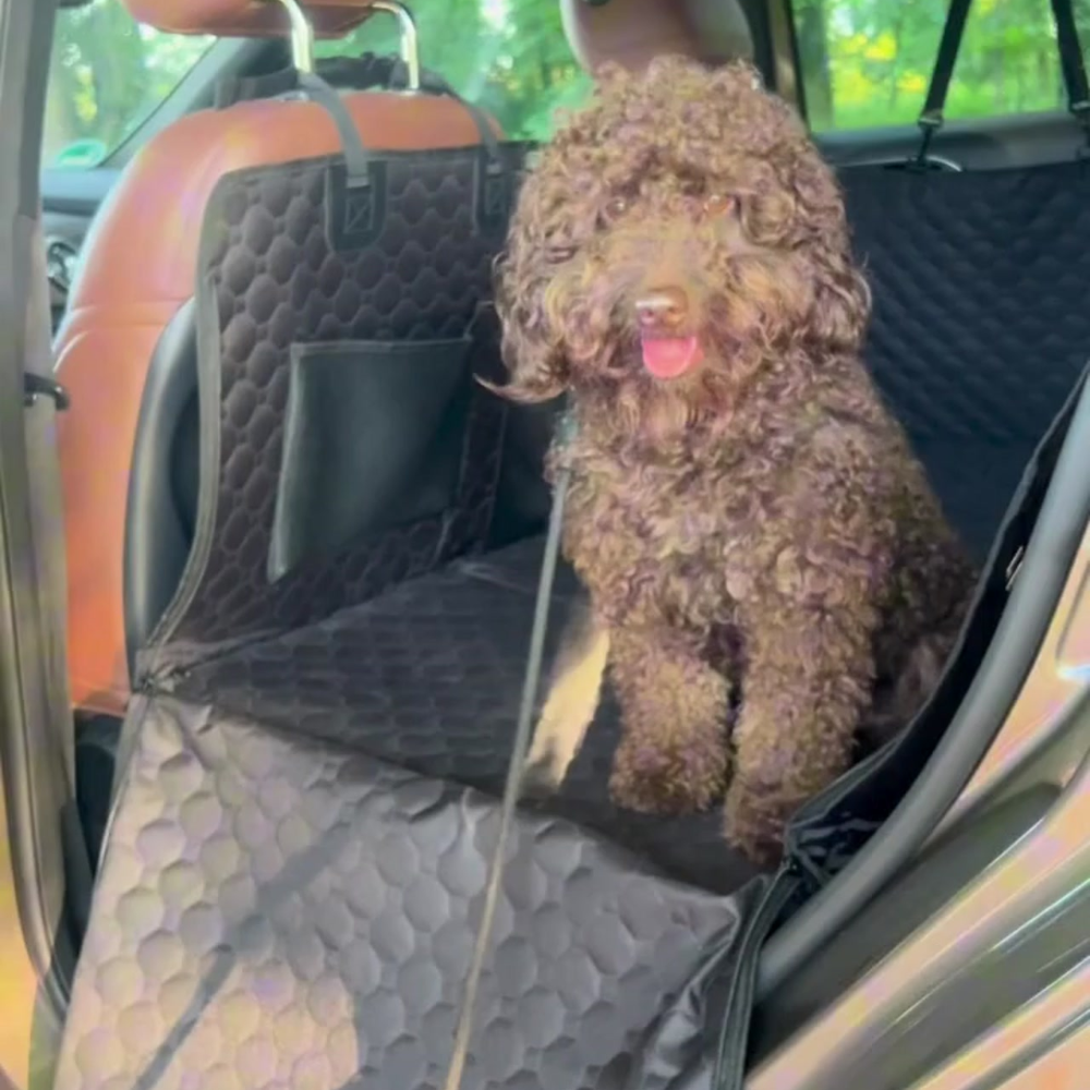 Hundedecke Premium Mit Bodenplatten Produkt Video Mylene Thumbnail