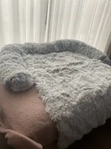 Image 1536x2048 1.webp