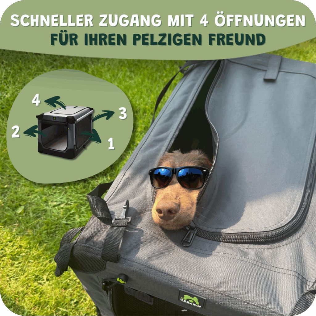 Maelson Faltbare Hundebox Fürs Auto – Ritssluiting